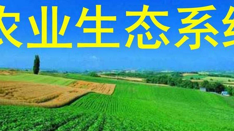 休闲农业品牌要想脱颖而出，首先要打造独特的品牌形象。这包括以下几个方面：