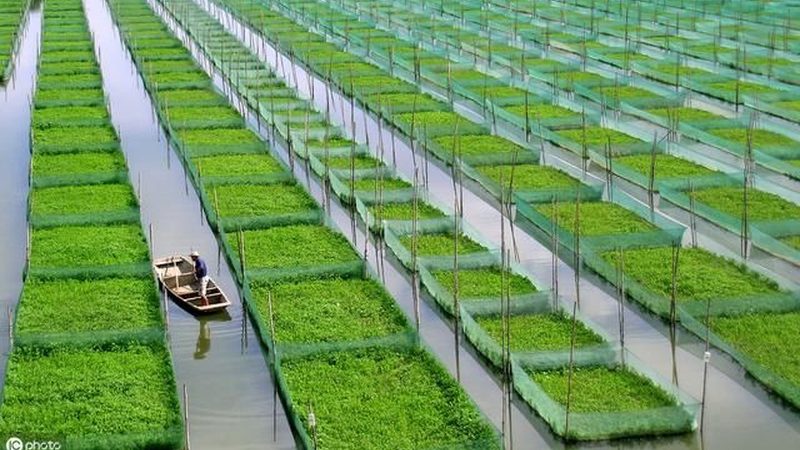 现代农业示范园排名前十