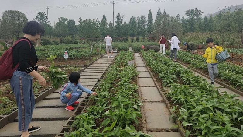 蔬菜配送：利润空间解析与市场洞察