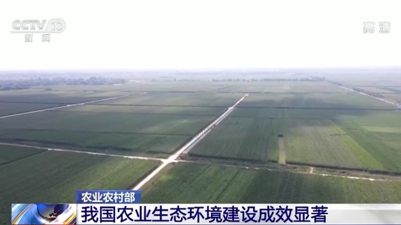 大棚蔬菜种植：技术标准如何确保高效与合规**