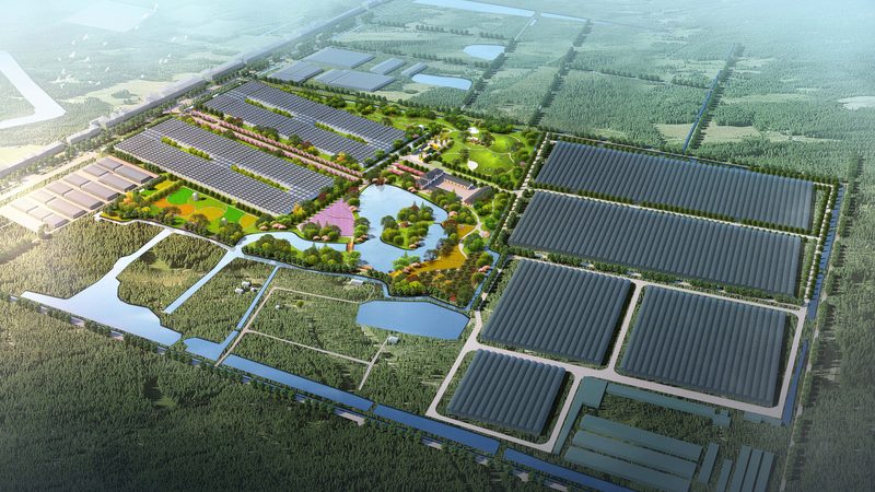 山东农资价格波动背后的市场逻辑**