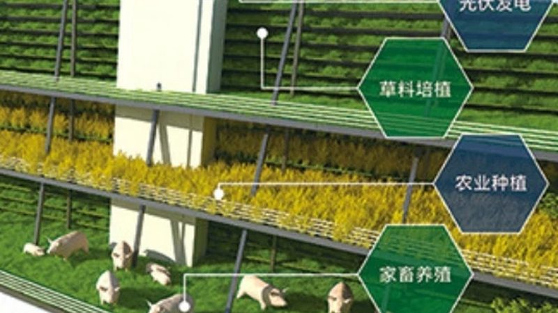 生鲜配送系统选购指南