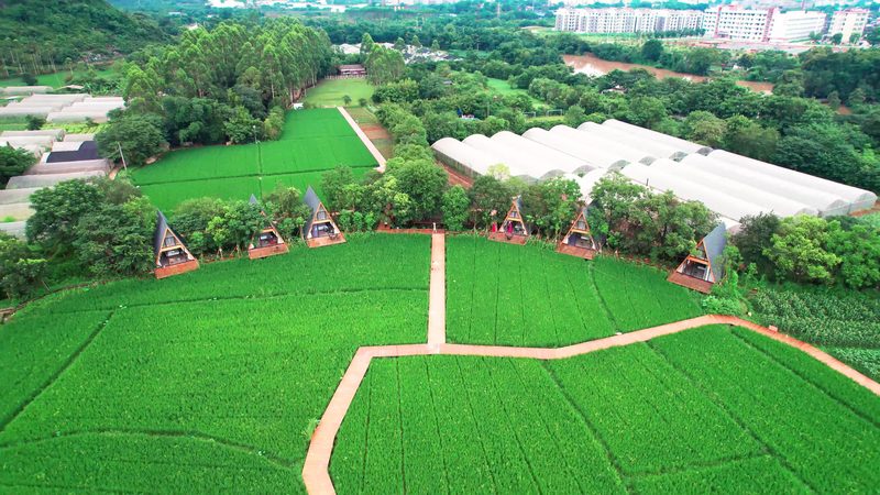农业产业园农旅融合：探索优缺点与未来发展