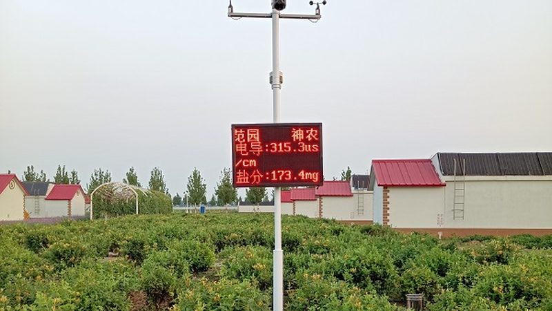 农业种植技术加盟代理：新手如何找到适合自己的道路**